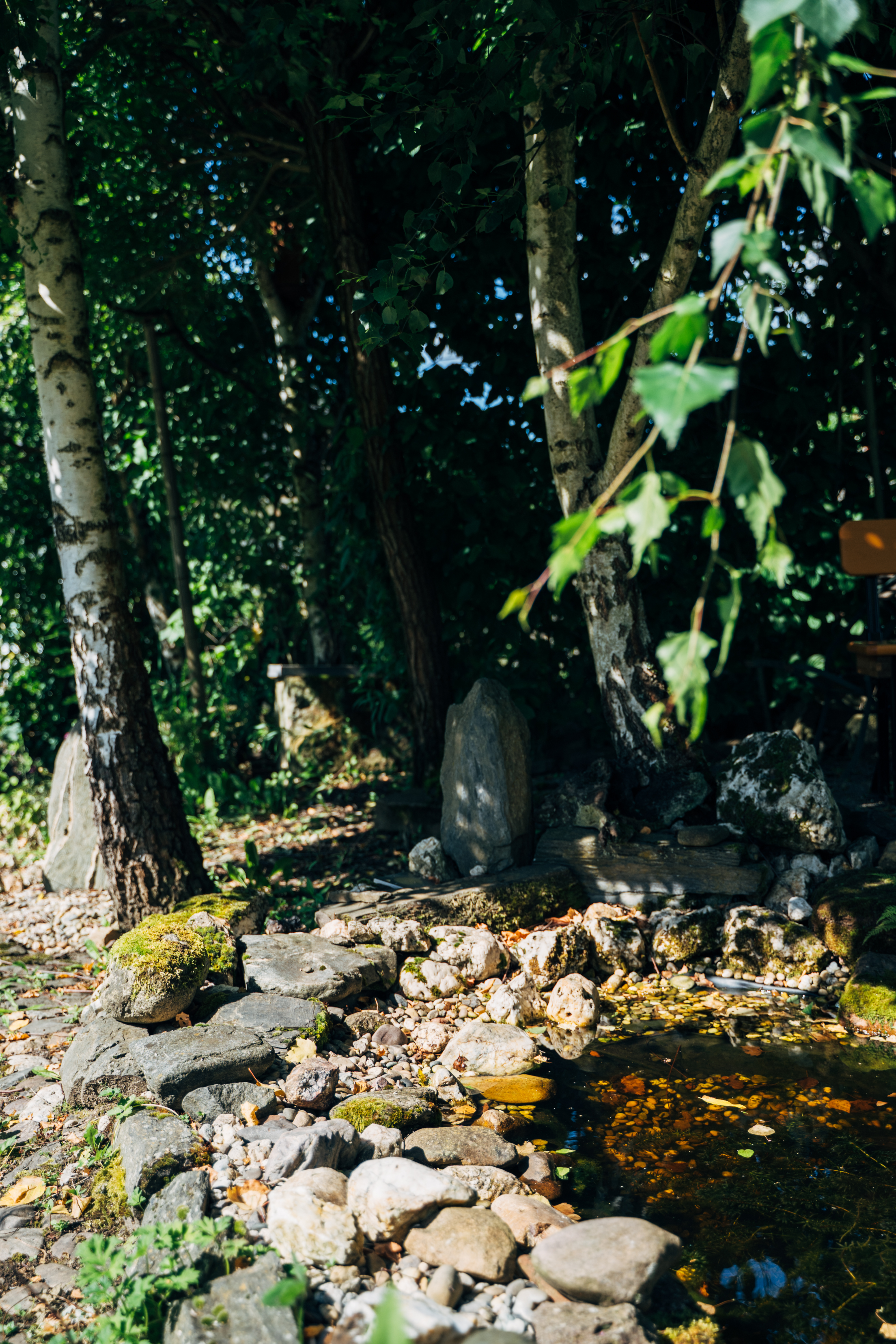 Fewo_Mertz_Garten_Teich