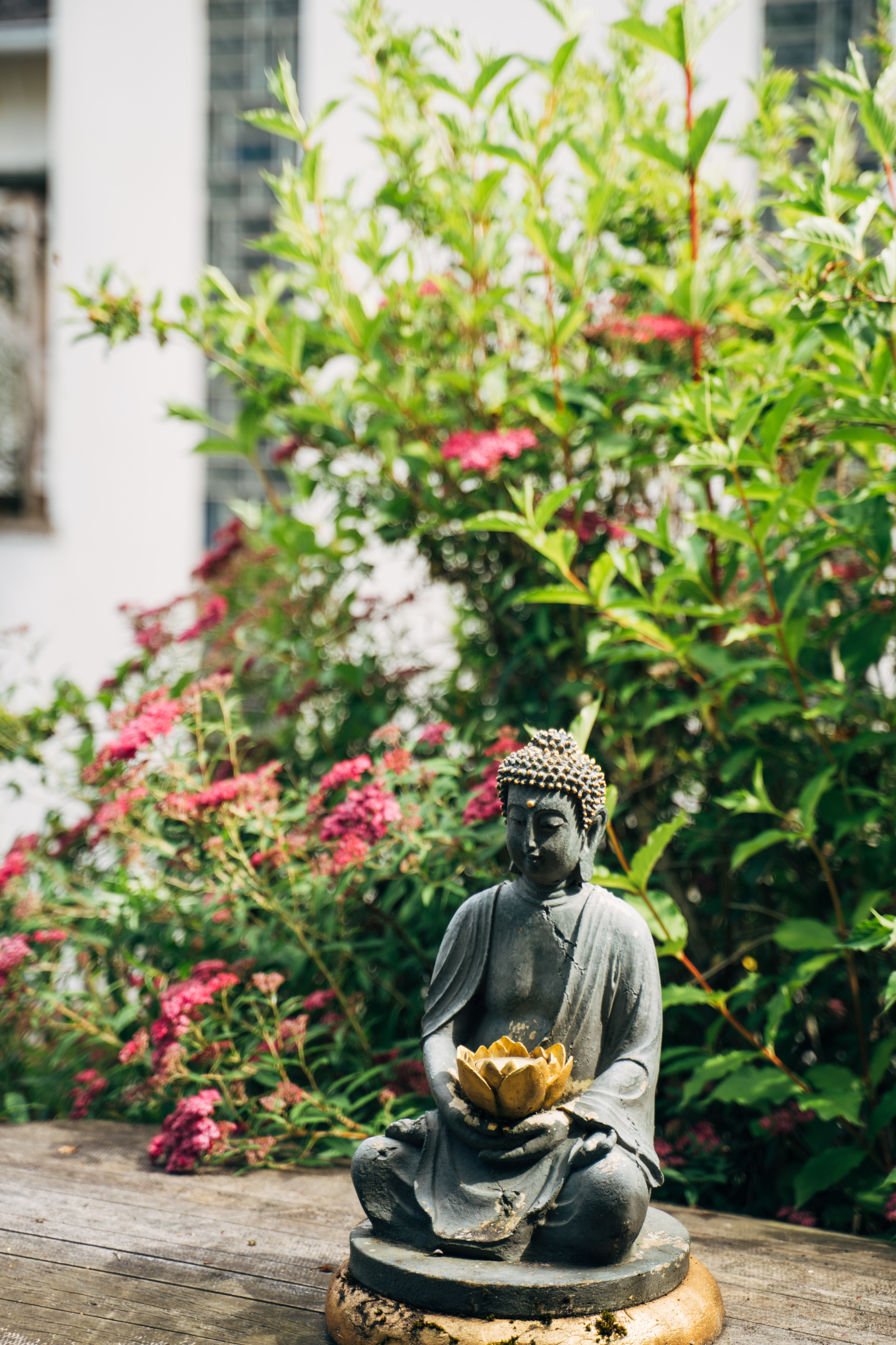 Fewo_Mertz_Garten_Buddha_Zen