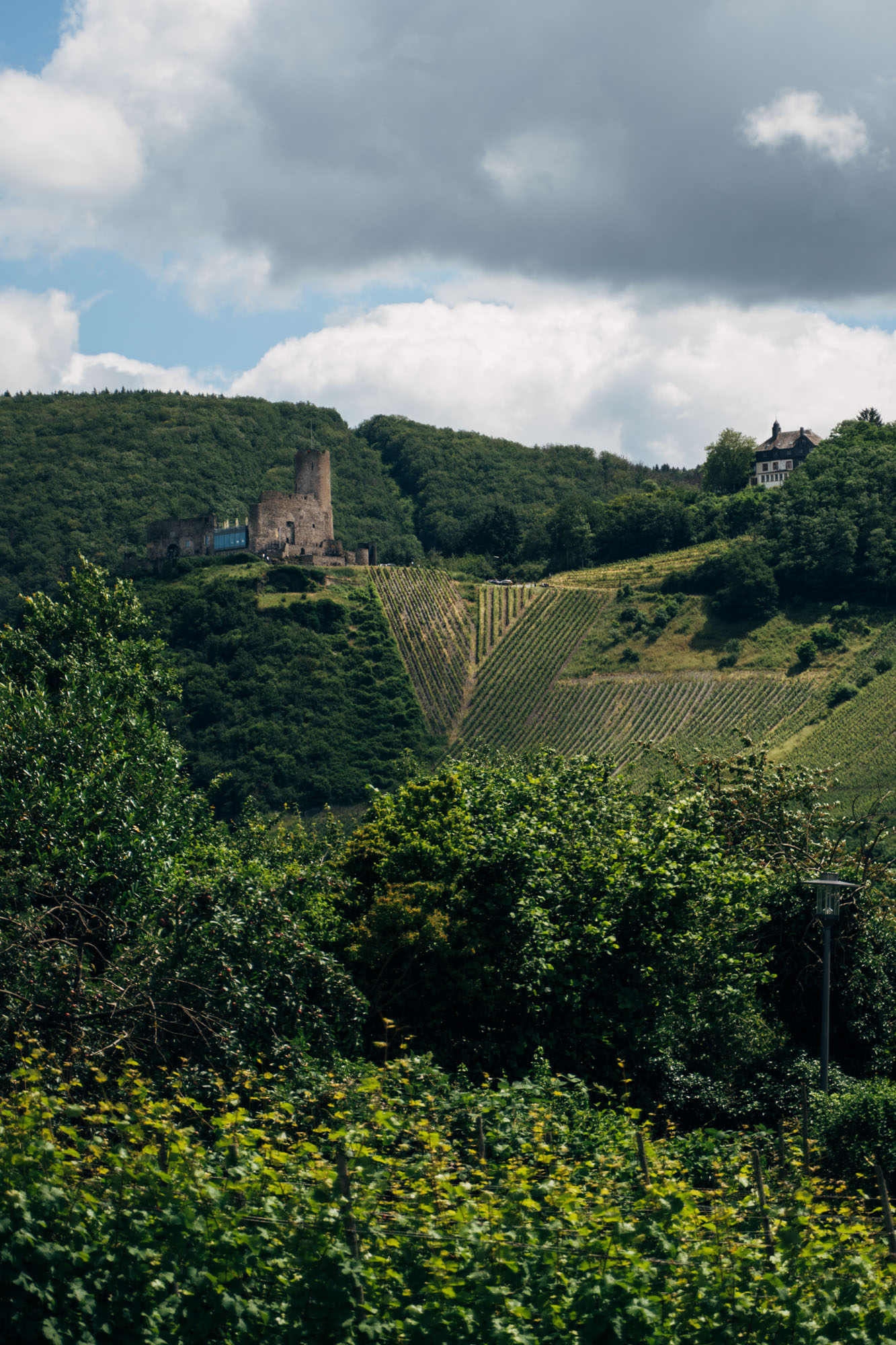 Fewo_Mertz_Garten_Burgblick