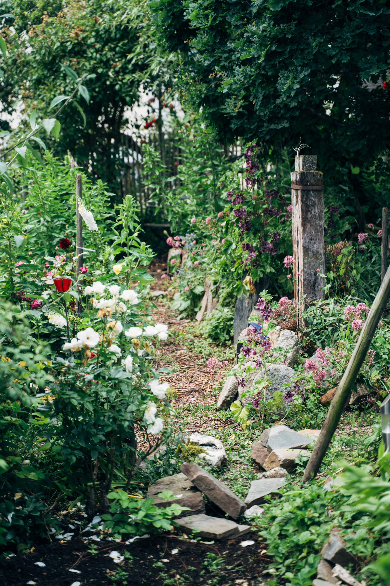 Fewo_Mertz_Garten_Weg